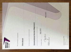 North East Scotland College diploma