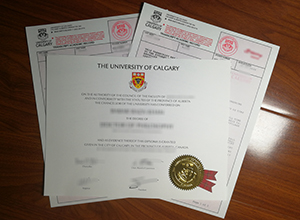 University of Calgary degree and transcript