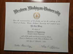 Western Michigan University degree