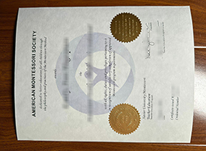 American Montessori Society diploma