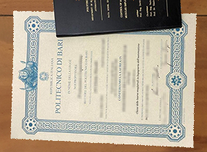 Politecnico Di Bari diploma