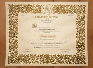 Università degli Studi di Siena diploma