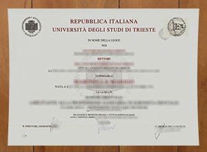 Università degli Studi di Trieste degree