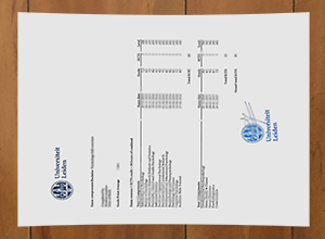 Universiteit Leiden transcript