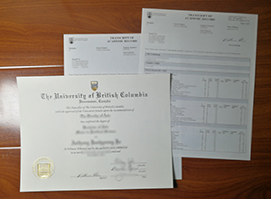University of British Columbia degree and transcript