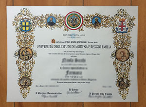 University of Modena and Reggio Emilia degree