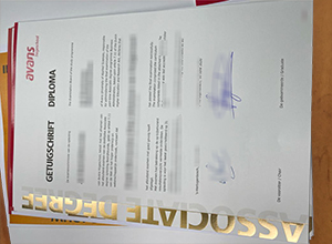 Avans Hogeschool degree