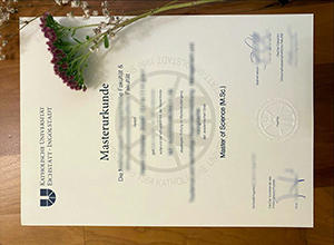 Katholische Universität Eichstätt-Ingolstadt degree