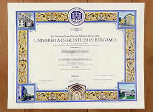 Università degli Studi di Bergamo degree