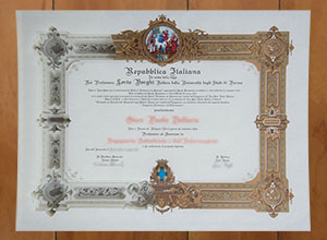Università degli Studi di Parma degree