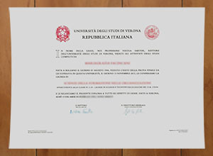 Università degli Studi di Verona degree