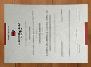 Università della Calabria degree
