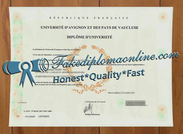 Avignon Université licence