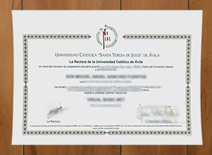 Catholic University of Ávila degree