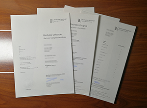 Hochschule Reutlingen degree and transcript