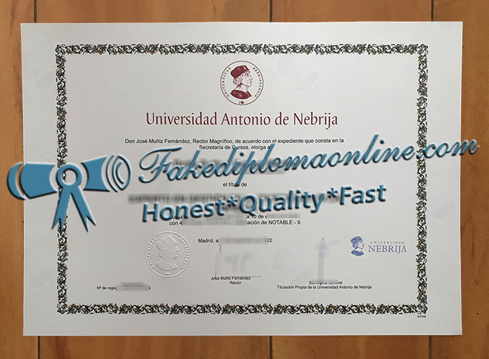 Universidad Nebrija diploma