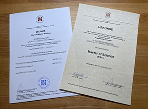 Universität Hildesheim degree and transcript