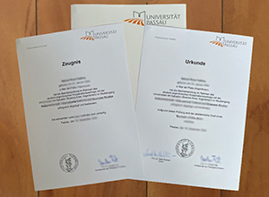Universität Passau degree and transcript