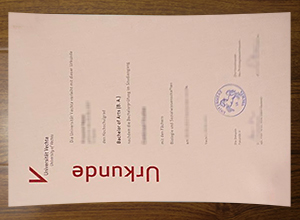 University of Vechta degree