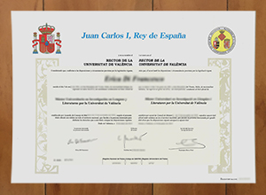 Universitat de València degree