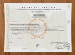 Université Bretagne Sud diploma