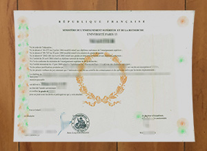 Université Paris 13 diploma