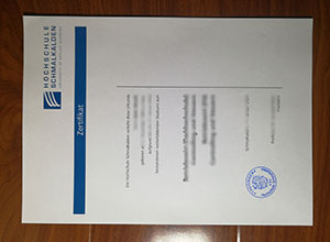 Hochschule Schmalkalden diploma