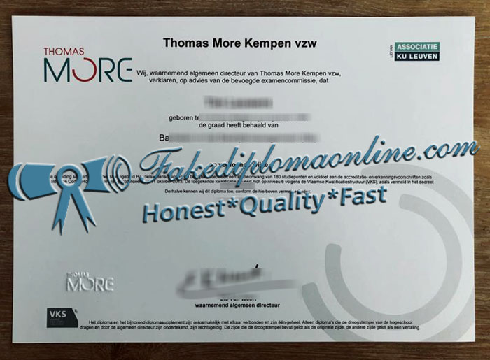 Thomas More Hogeschool diploma
