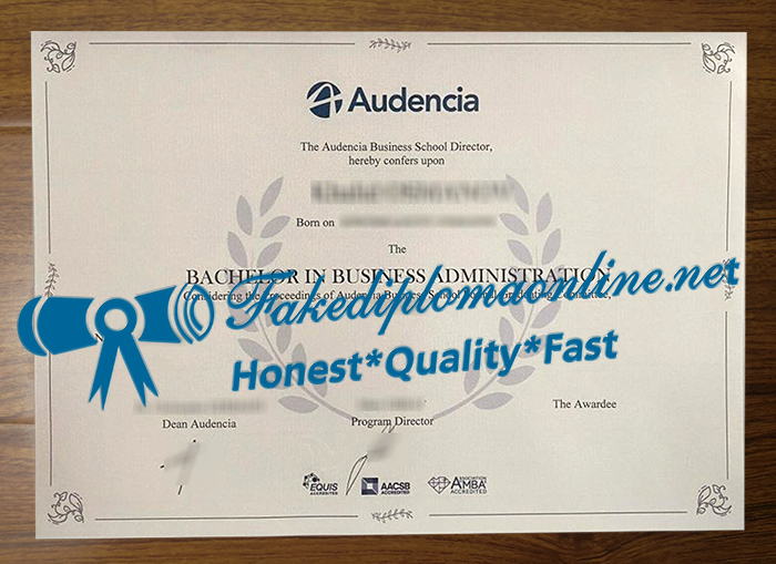 Audencia Business School diploma