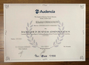 Audencia Business School degree