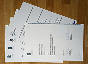 Berner Fachhochschule diploma and transcript