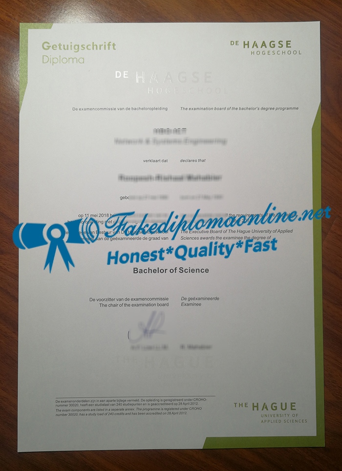 De Haagse Hogeschool degree