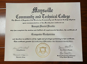 Community and Technical College diploma