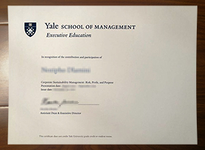 Yale School of Management diploma