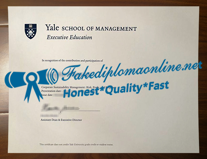 Yale School of Management degree