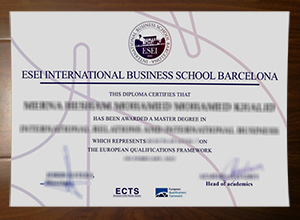 ESEI International Business School degree