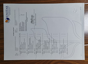 UNITAR International University transcript