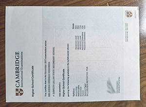 Cambridge International School Certificate