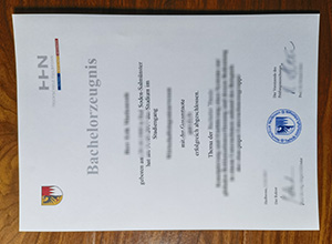 Hochschule Heilbronn diploma