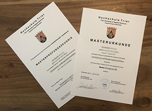 Hochschule Trier diploma