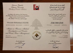 Lebanese University diploma