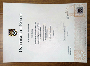 University of Exeter degree