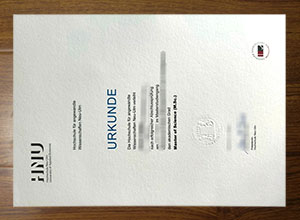 Hochschule Neu Ulm diploma