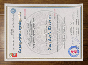 Ivane Javakhishvili Tbilisi State University diploma