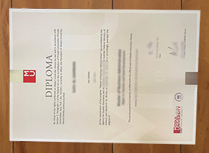MODUL University degree