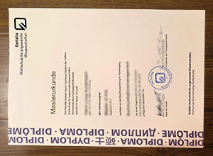 Ostfalia Hochschule für angewandte Wissenschaften diploma