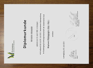 PH Ludwigsburg degree