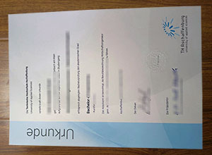Technische Hochschule Aschaffenburg diploma