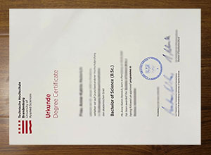 Technische Hochschule Brandenburg diploma
