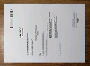 Technische Hochschule Deggendorf degree
